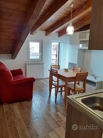 Cecchina, Via Nettunense - Appartamento mansardato