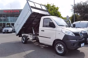 Piaggio Porter NP6 1.5 PC LPG Cassone Ribalta...