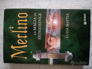 Merlino: la magia di Shonehenge. (Luisa Mattia)