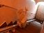Immagine 2