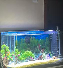 acquario 80 litri