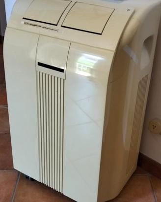 Condizionatore deumidificatore spostabile