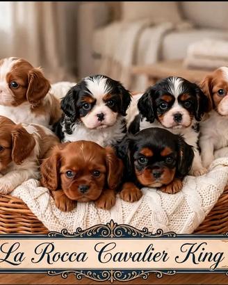 Cavalier king con Pedigree Enci e certificazioni 