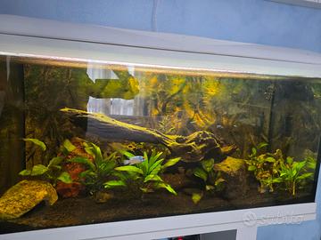 Acquario Amtra System 80x40x30 con filtro esterno 