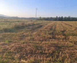 Terreno agricolo pianeggiante