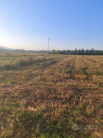 Terreno agricolo pianeggiante