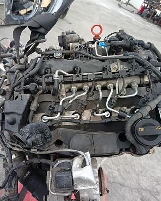 Volkswagen golf - cbb
