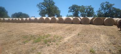 rotoli fieno di olietta, avena e sulla.