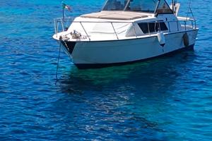 Chris Craft 30 Express