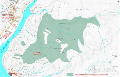 Montagna boscata 88,6 ettari con casera