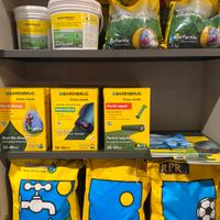 Sementi e concimi per prati erbosi BARENBRUG