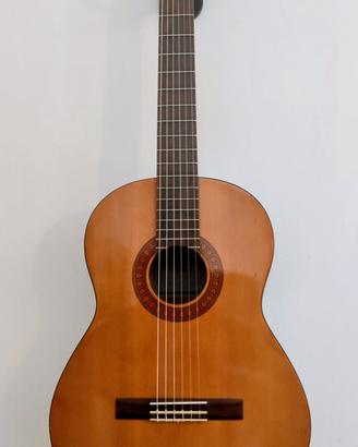 chitarra Yamaha 