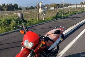 Honda XR125 L