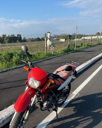 Honda XR125 L