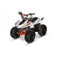 Quad Kayo AY70 a 4 Tempi Automatico