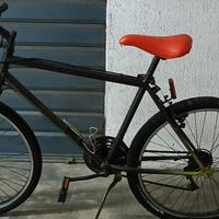 bicicletta Lombardo 