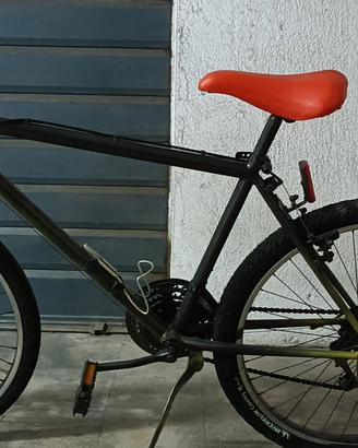 bicicletta Lombardo 