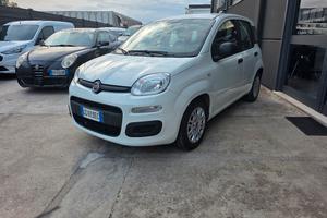 PANDA HIBRID IN PRONTA CONSEGNA 