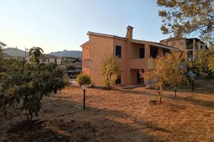 Vacanze al mare Olbia Pittulongu