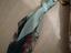 Immagine 2