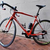 Wilier triestina GTR