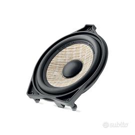 Focal ICC MBZ 100