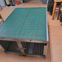 TRASPORTINO PER CANI