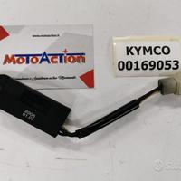 Centralina Riscaldamento Carburatore Kymco xciting