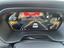 Immagine 13