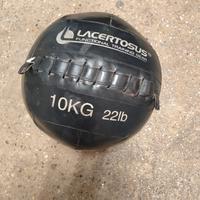 wall ball 10 kg 22 lb lacertosus