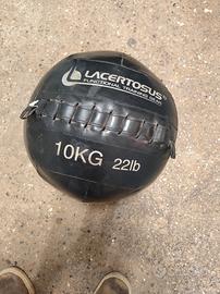 wall ball 10 kg 22 lb lacertosus