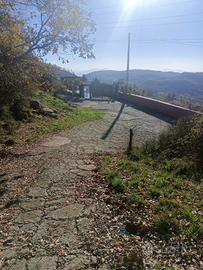 Terreno agricolo collinare