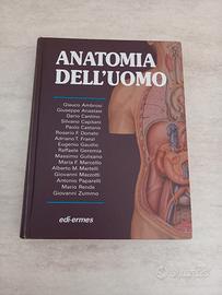 Anatomia dell'uomo