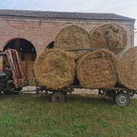 Foraggio