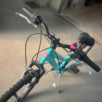 Bicicletta da donna