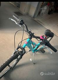 Bicicletta da donna