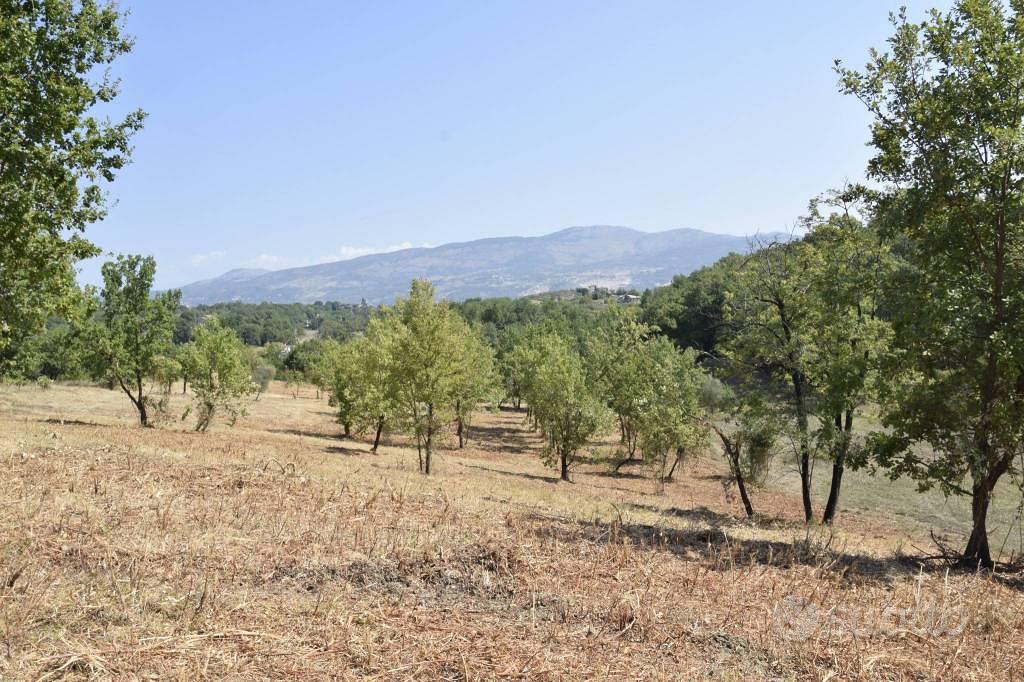 Terreno di 12000 m² a Spigno Saturnia - Vista 5