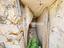 Immagine 25