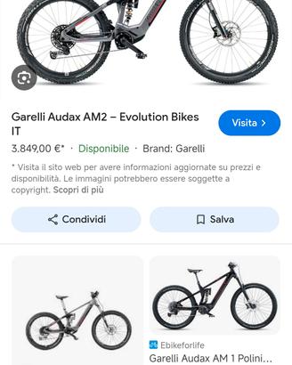 emtb Garelli audax am2 km 80