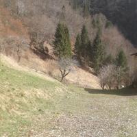 Porzione di maso appartamento 60 metri