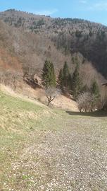 Porzione di maso appartamento 60 metri