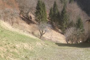 Porzione di maso appartamento 60 metri