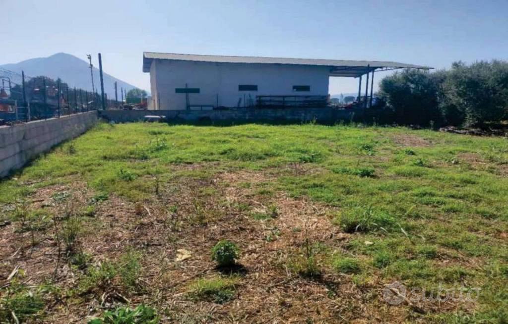 Immobile in asta di 4386 m² a Maenza - Vista 3