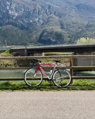 Bici da corsa