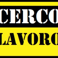 Commesso, impiegato, operaio, altro