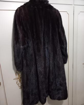 pelliccia di visone maschio