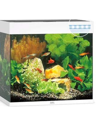 Acquario Juwel Lido 120 Bianco Led