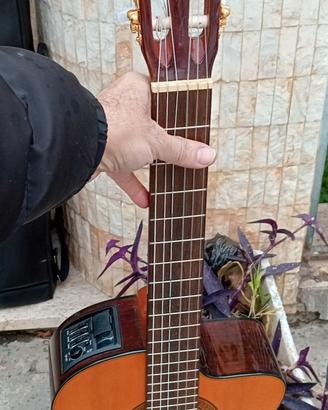 TAKAMINE chitarra classica GC5CE borsa lusso 