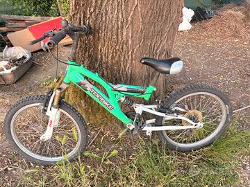 Bici da ragazzo