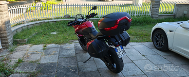 Triumph Tiger 660 sport